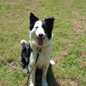 Meet your Posher, Jon